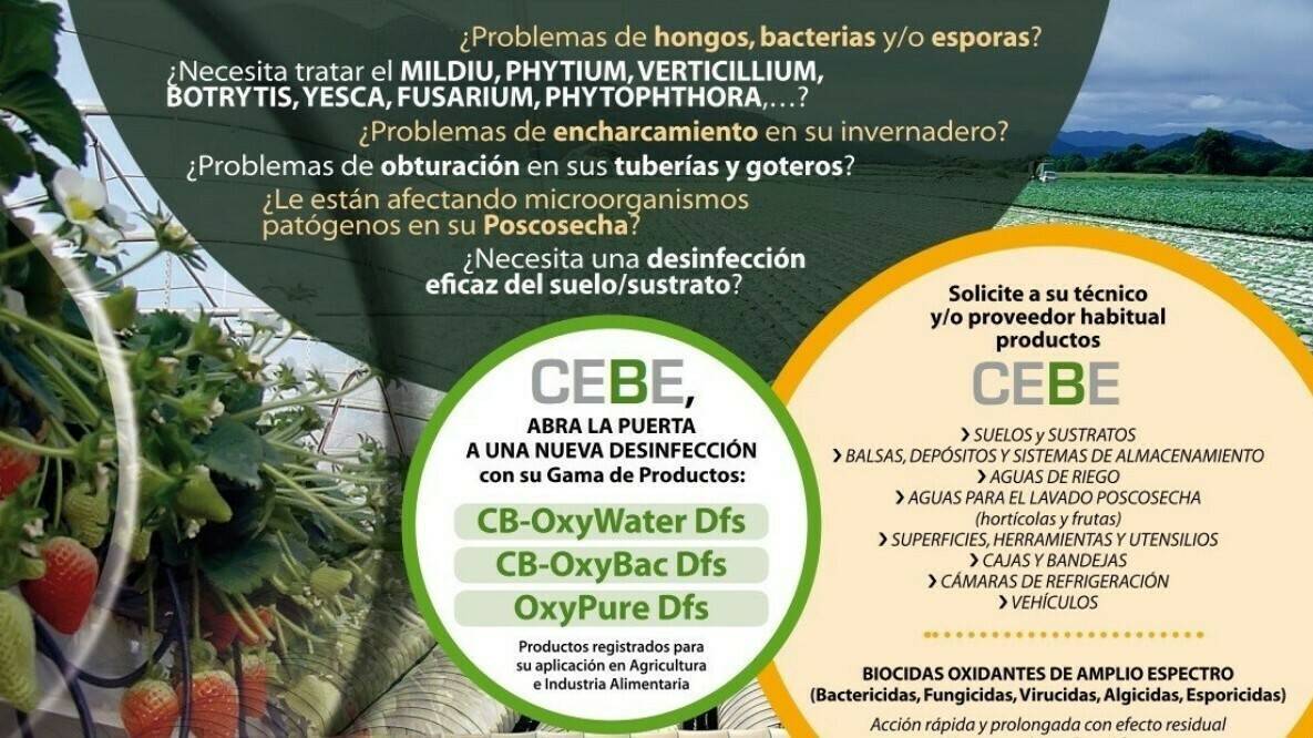 CEBE-1200x675|247234_233563146660579_2751894_n|CEBEAnunSuca-2|CEBE-700x100|cebe+OxyWATER